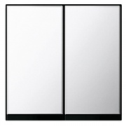 Накладка 2 канальн. кнопочного свторегулятора System 55 Gira хром