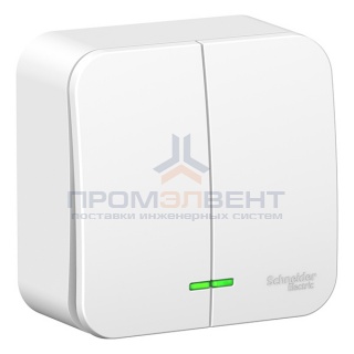 Выключатель 2-клавишный с подсветкой (cх.5) Blanca Schneider Electric 10А 250В белый изол.пластина